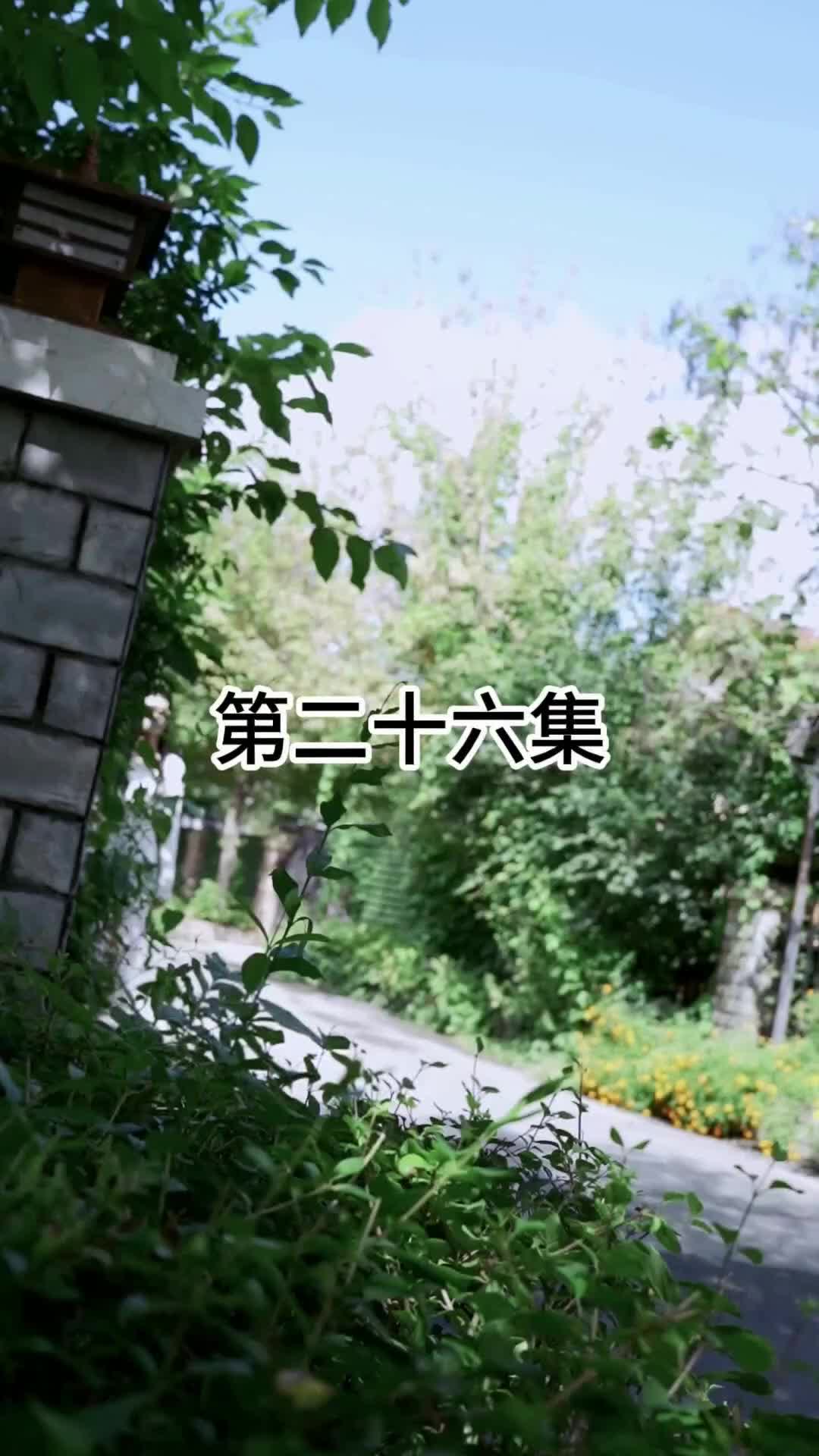 26