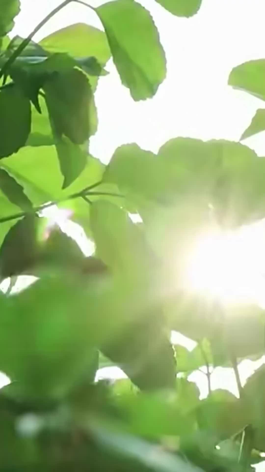 100